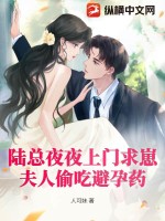 陆总夜夜上门求崽,夫人偷吃避孕药
