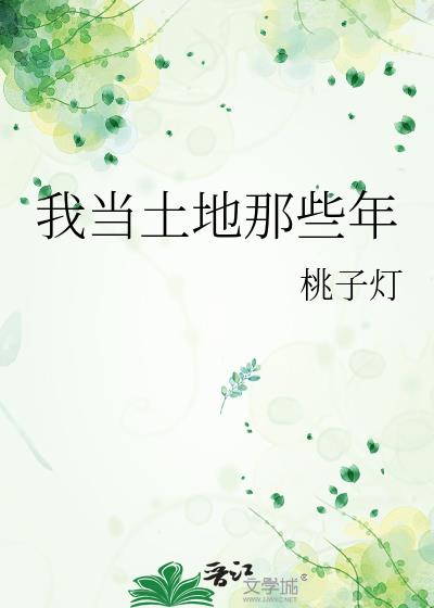我当土地那些年