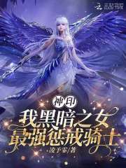 神印:我黑暗之女,最强惩戒骑士